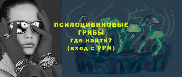 крисы Ладушкин