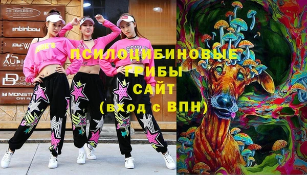 крисы Ладушкин