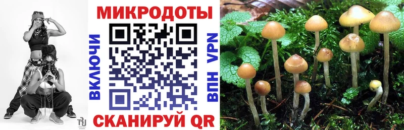Псилоцибиновые грибы Cubensis  Купить закладки  Ртищево 